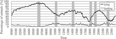 Feeding Behavior of Fattening Bulls Fed Six Times per Day Using an Automatic Feeding System